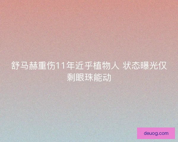 舒马赫重伤11年近乎植物人 状态曝光仅剩眼珠能动